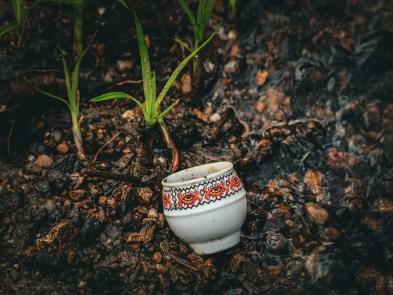 Mug Souvenir Aqiqah