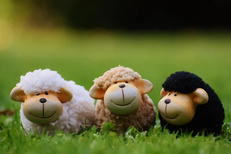 Sheep Happy Baby Islamic Celebration